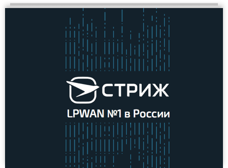 Первая страница брошюры «СТРИЖ»